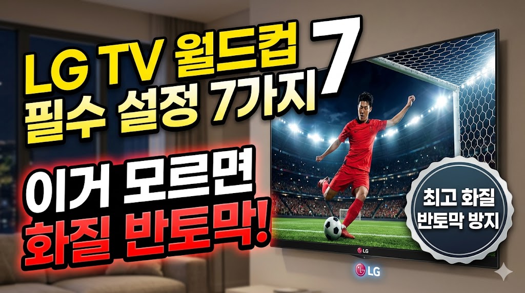 월드컵 필수 설정